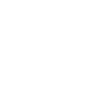 ice-dispenser